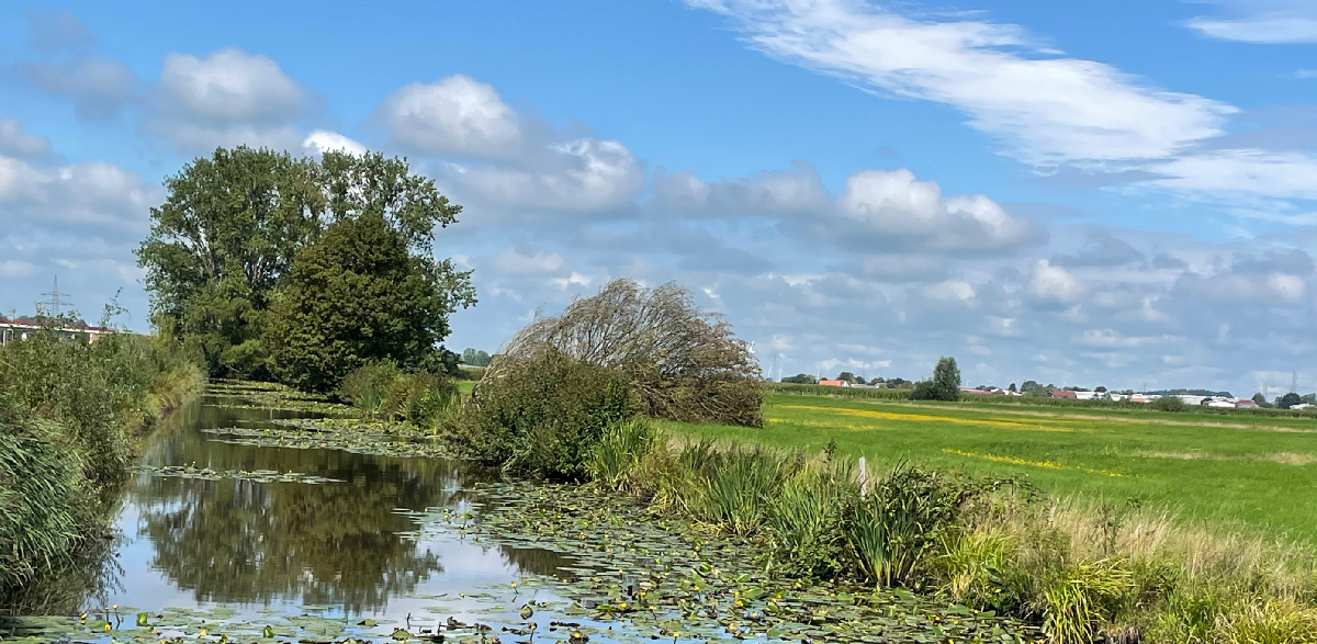 CDU Gemeindeverband Berne CDU Gemeindeverband Berne